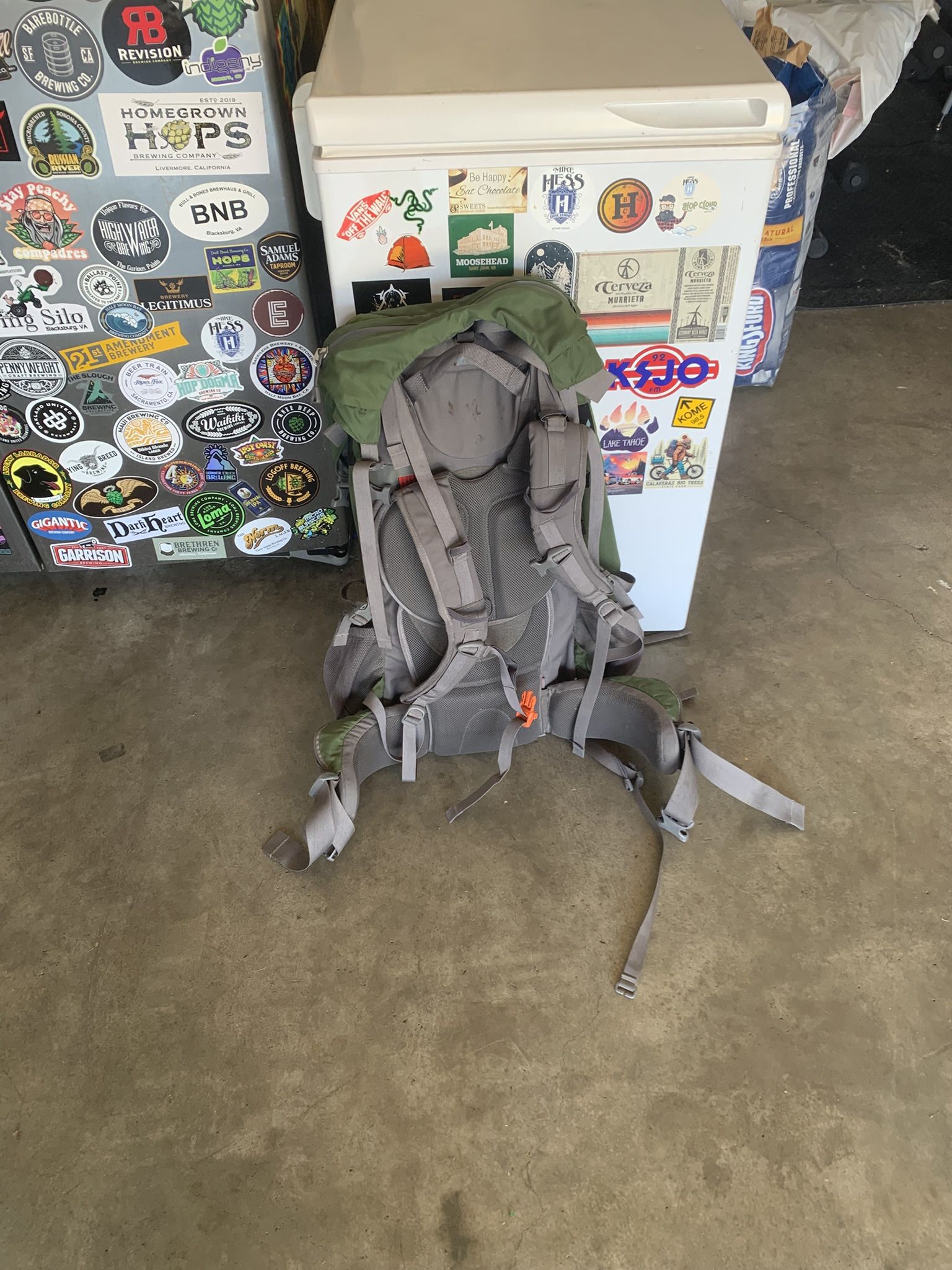 REI hiking Backpack