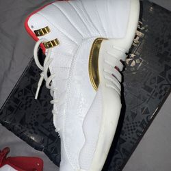 Jordan 12 Fibas 