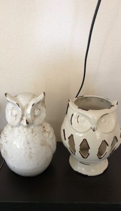 Owl set