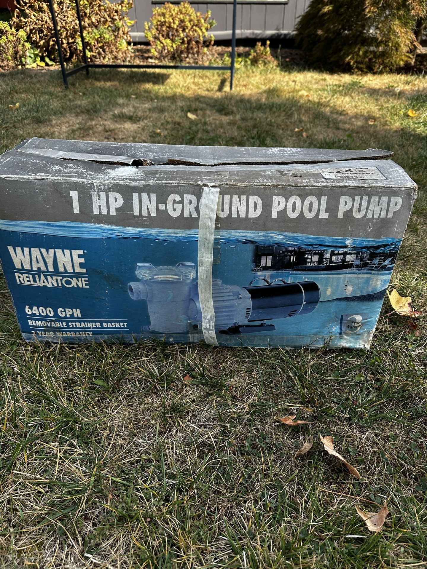 Pool Pump