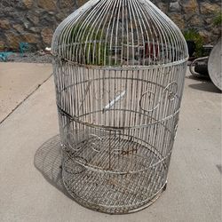 Parrot Cage