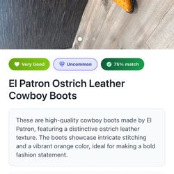 $150 for Authentic Ostrich Boots: Size 7 M/Size 9 W