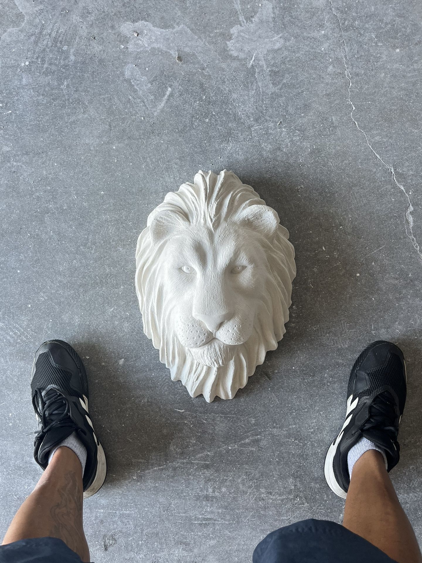 Lion Head Statue