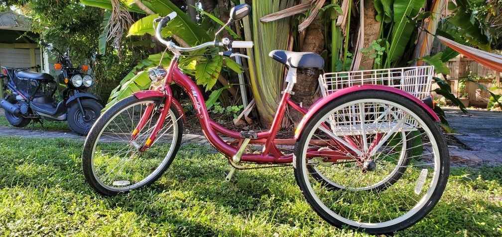 Schwinn Meridian Adult Tricycle Bike Cruiser