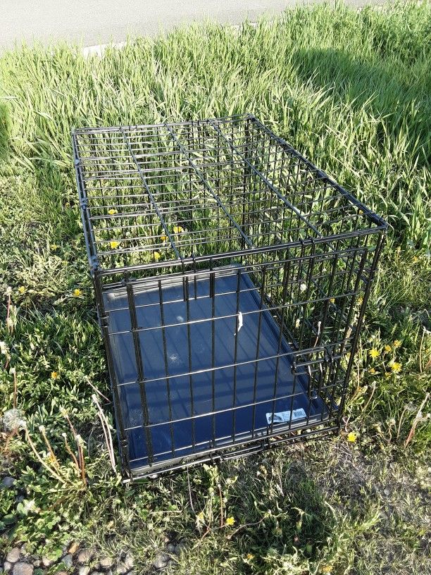 Wire dog kennel 17"x24"x22"