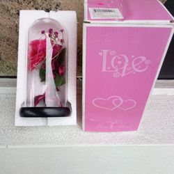 Light Up Rose Glass/Have Twenty Take All $100.