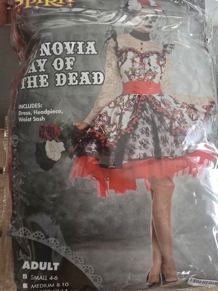 Halloween Costume