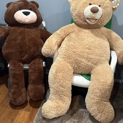Large Teddy Bears 