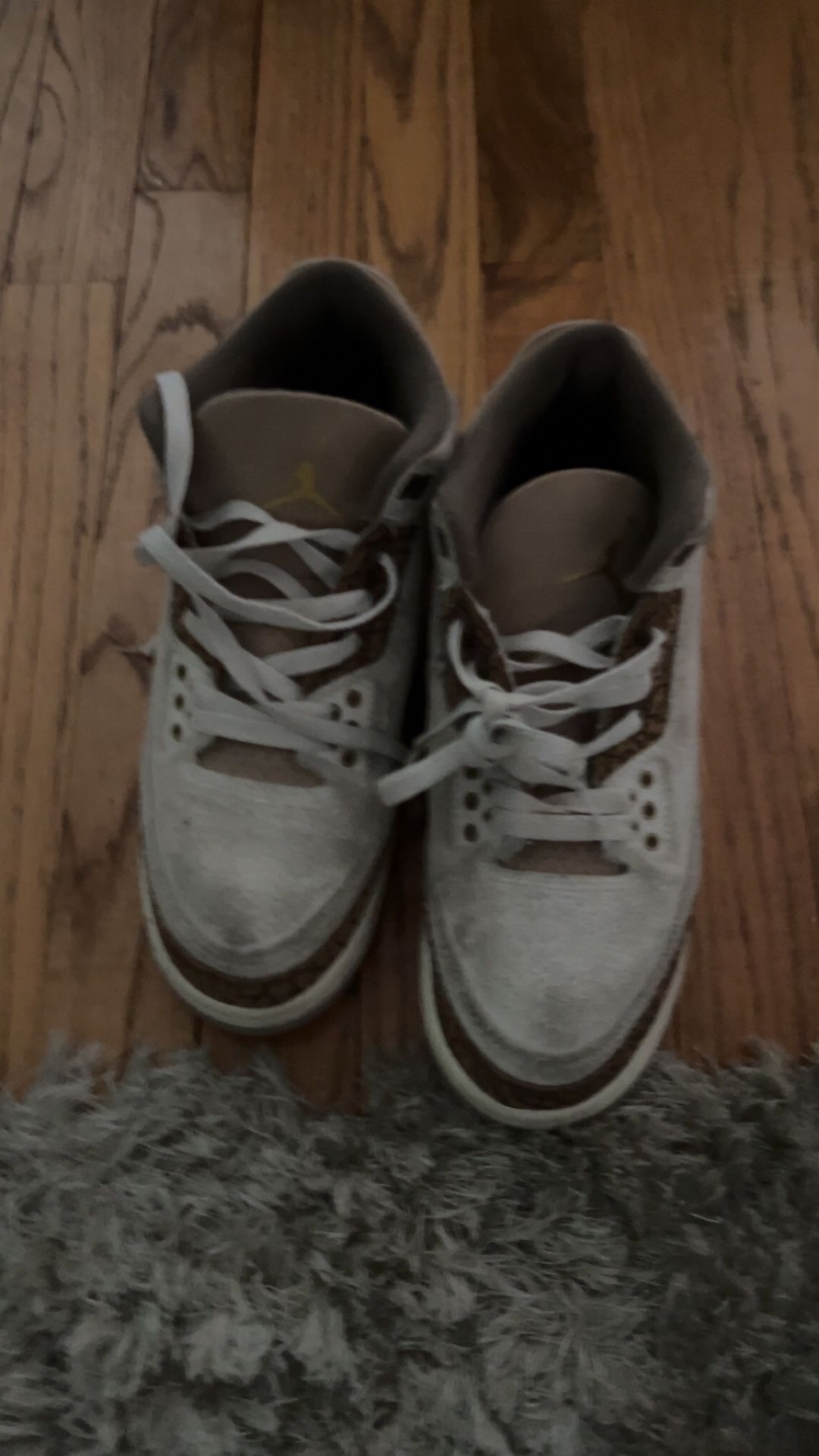 Air Jordan 3 Retro 'Palomino'