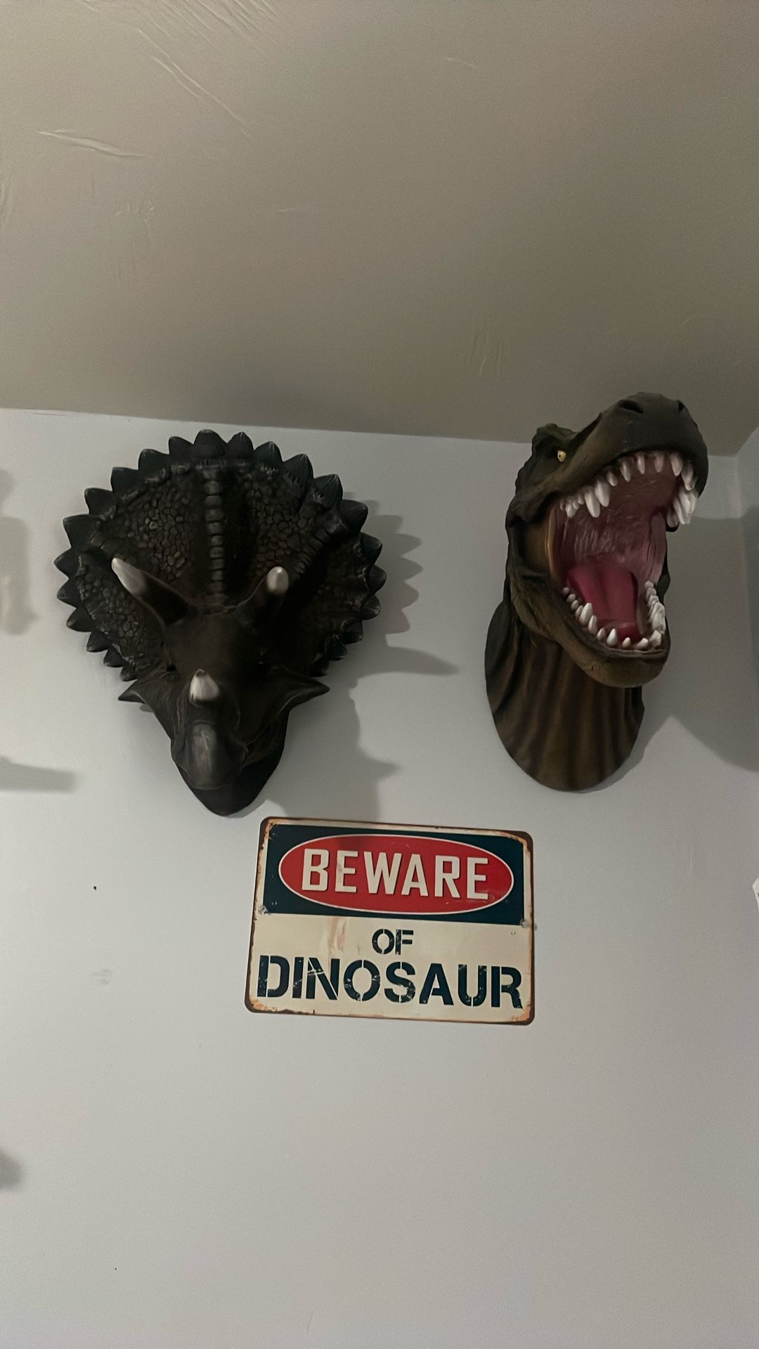 Dinosaur Decorations