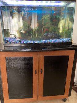 Fish Tank + Fish + Filter +light +decorations +heater+bobble Maker +samd