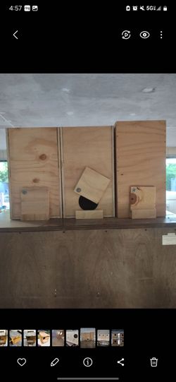 Birds nest boxes