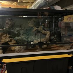 Reptile Enclosure 