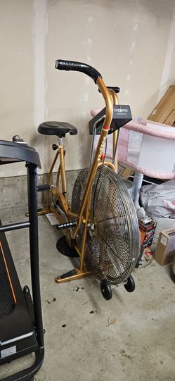 Schwinn Airdyne