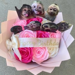 Happy Birthday Monkey Ramo 10ct