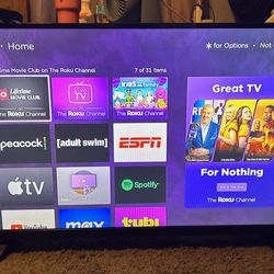 VIZO TV ( with roku device) 