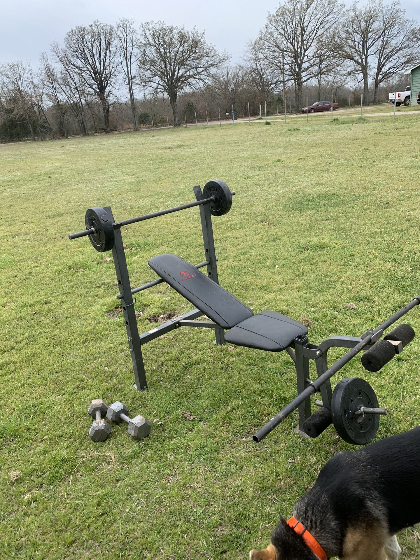 Total work out weight bench with 2bars,16 weights, and 2dumb bells