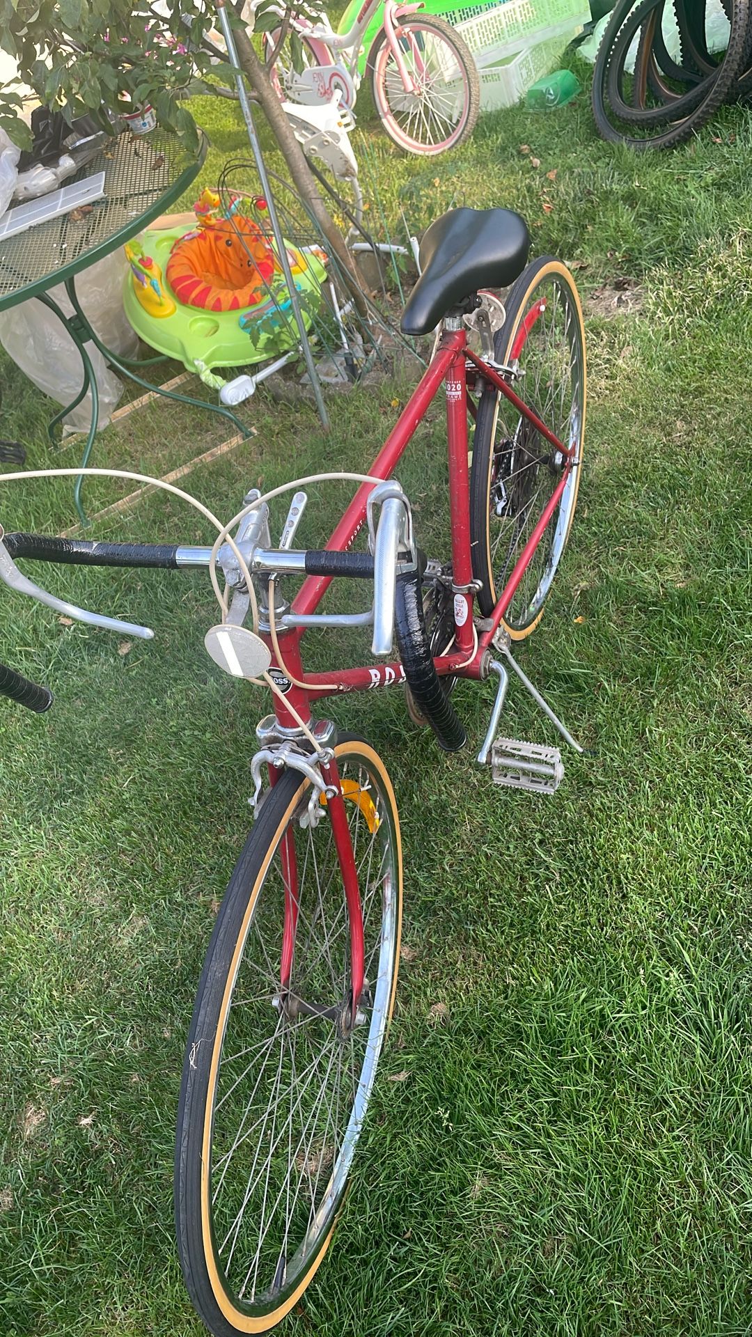 Ross 10 Speed