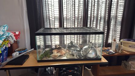 Lizard home