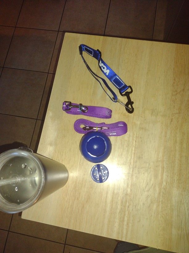 Dogs Leash And Collar