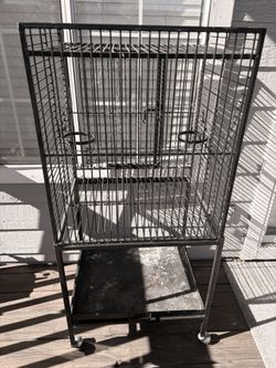 Bird Cage