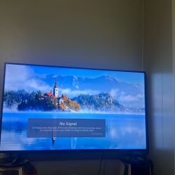 LG 65 Inch 