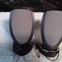 Computer Speakers 