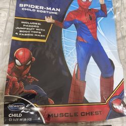 Spiderman Custom
