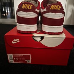 Dunk Low Size 10.5