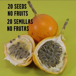 20 sweet granadilla seeds, passiflora ligularis seeds