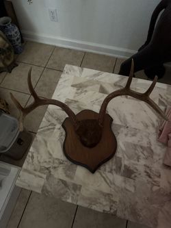 Deer Decor