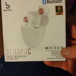 Dynamic True Wireless Earbuds