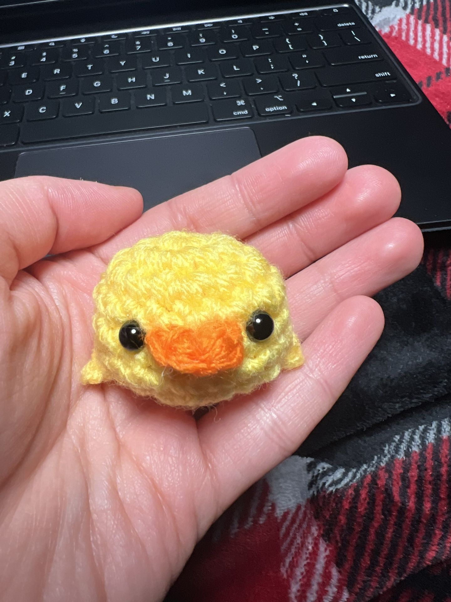 Mini Pocket Chick🐣