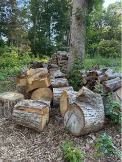 Free firewood
