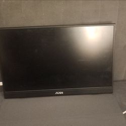 Portable monitor