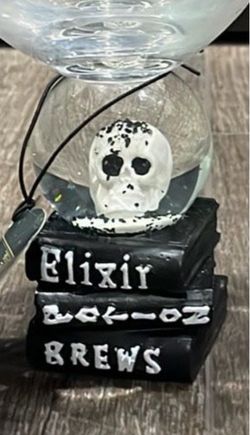 New Goth Gothic Skull Witch Potion Book Water Globe Wine Glass Set