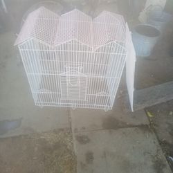 Bird Cage 