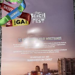 Baja fest GA 