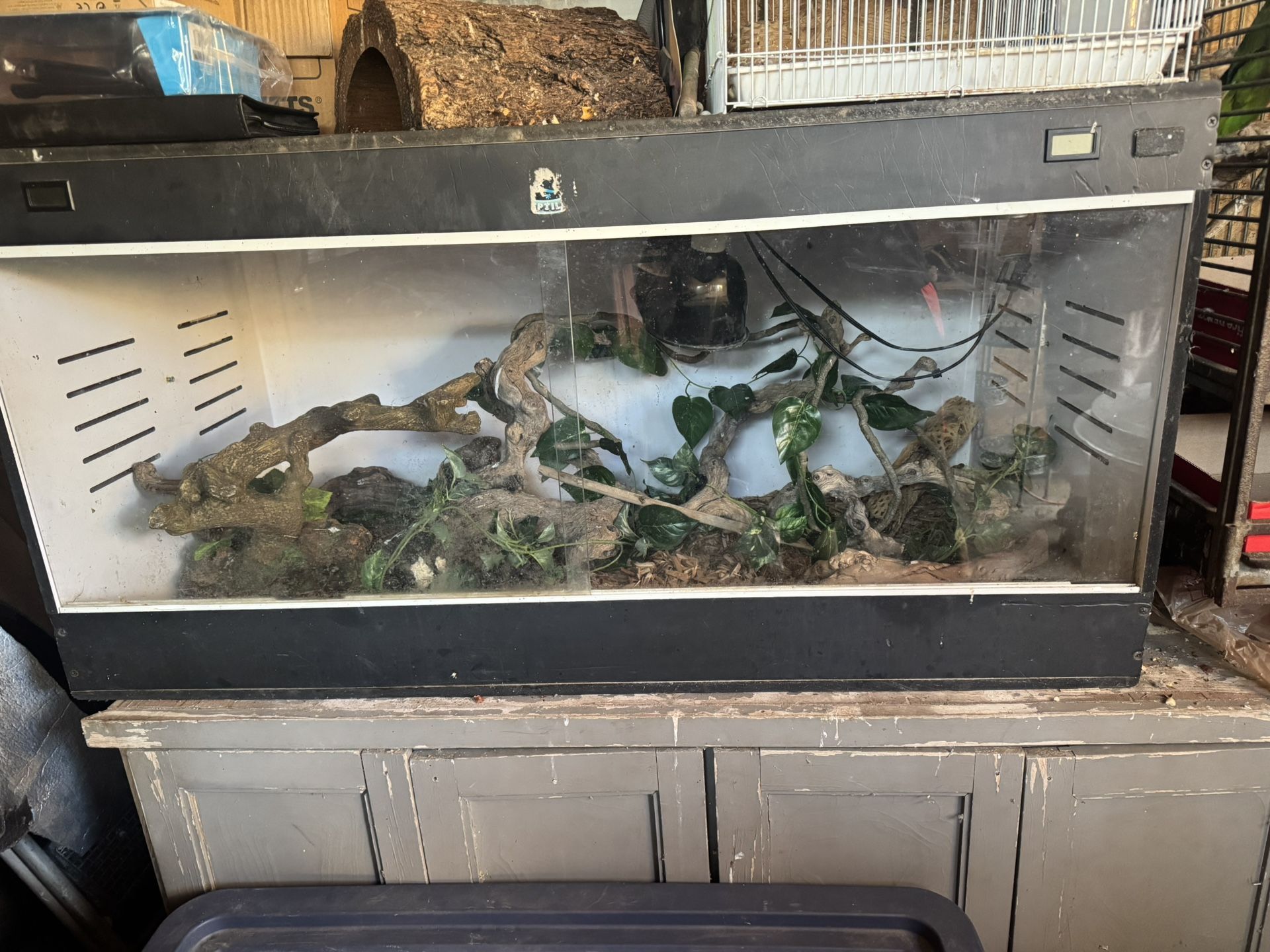Reptile Tank