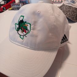 Adidas 47 Carroll High School Dragons