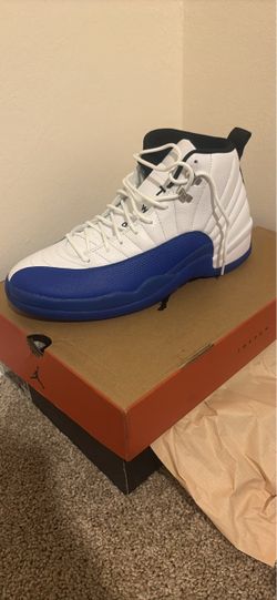 Blueberry Jordan’s 12s