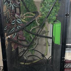 reptile cage 