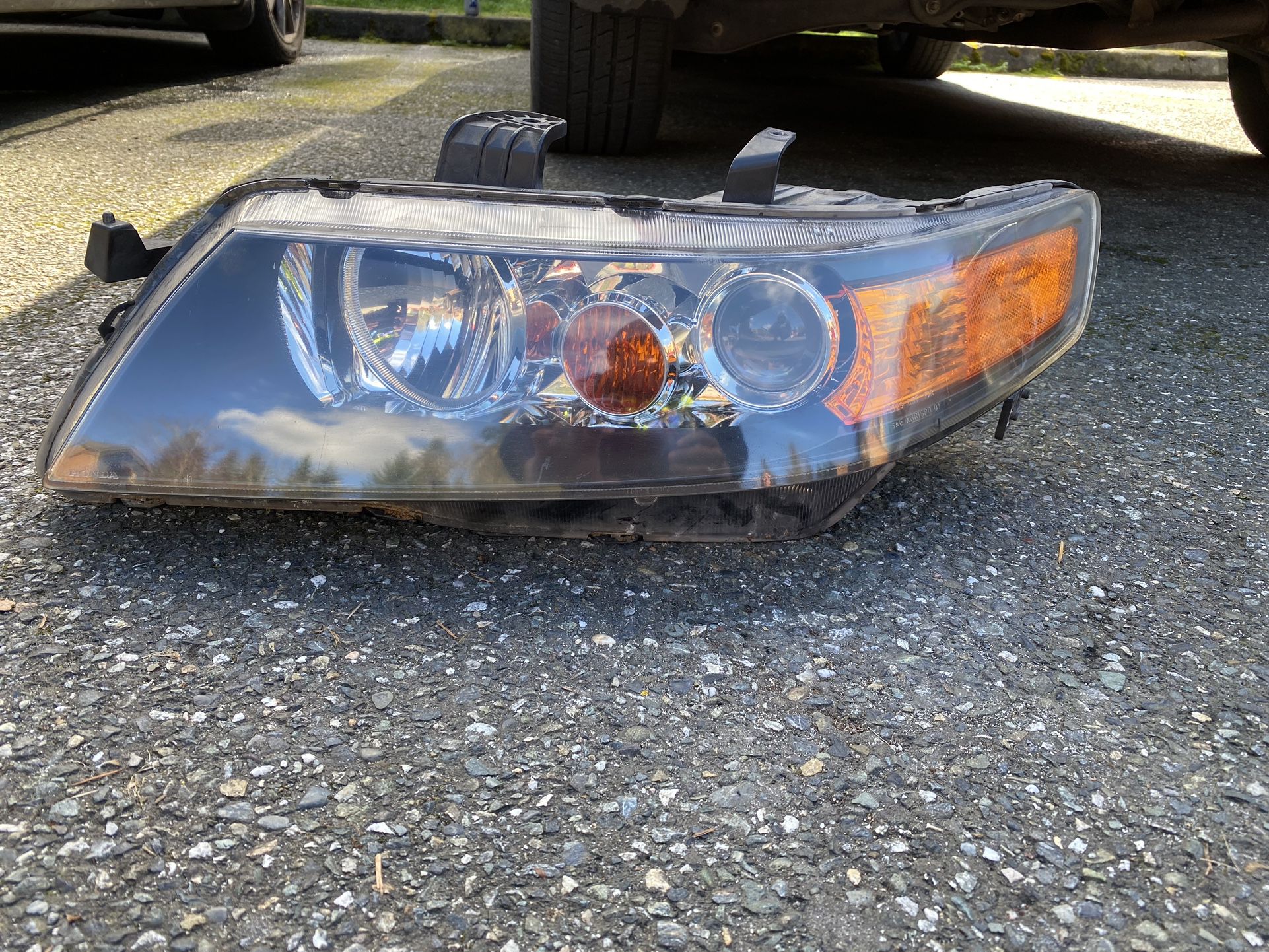 Acura TSX Headlight 