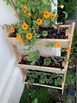 Handmade plants stand serious inquires no bargain