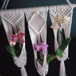 Macrame Orchid Hanger