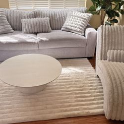 Brand New Couch Set With Rug 