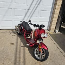 Ice bear maddog Scooter (Honda Ruckus Clone)