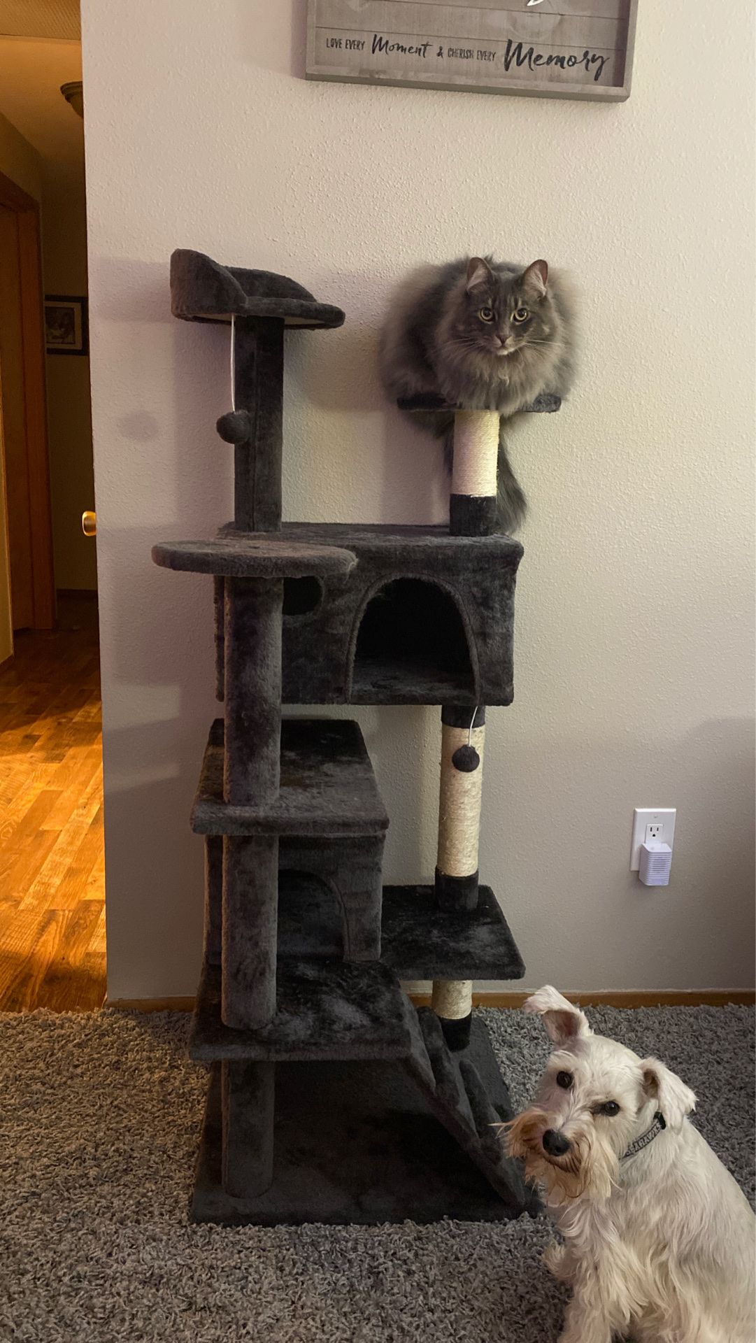 Cat Tree