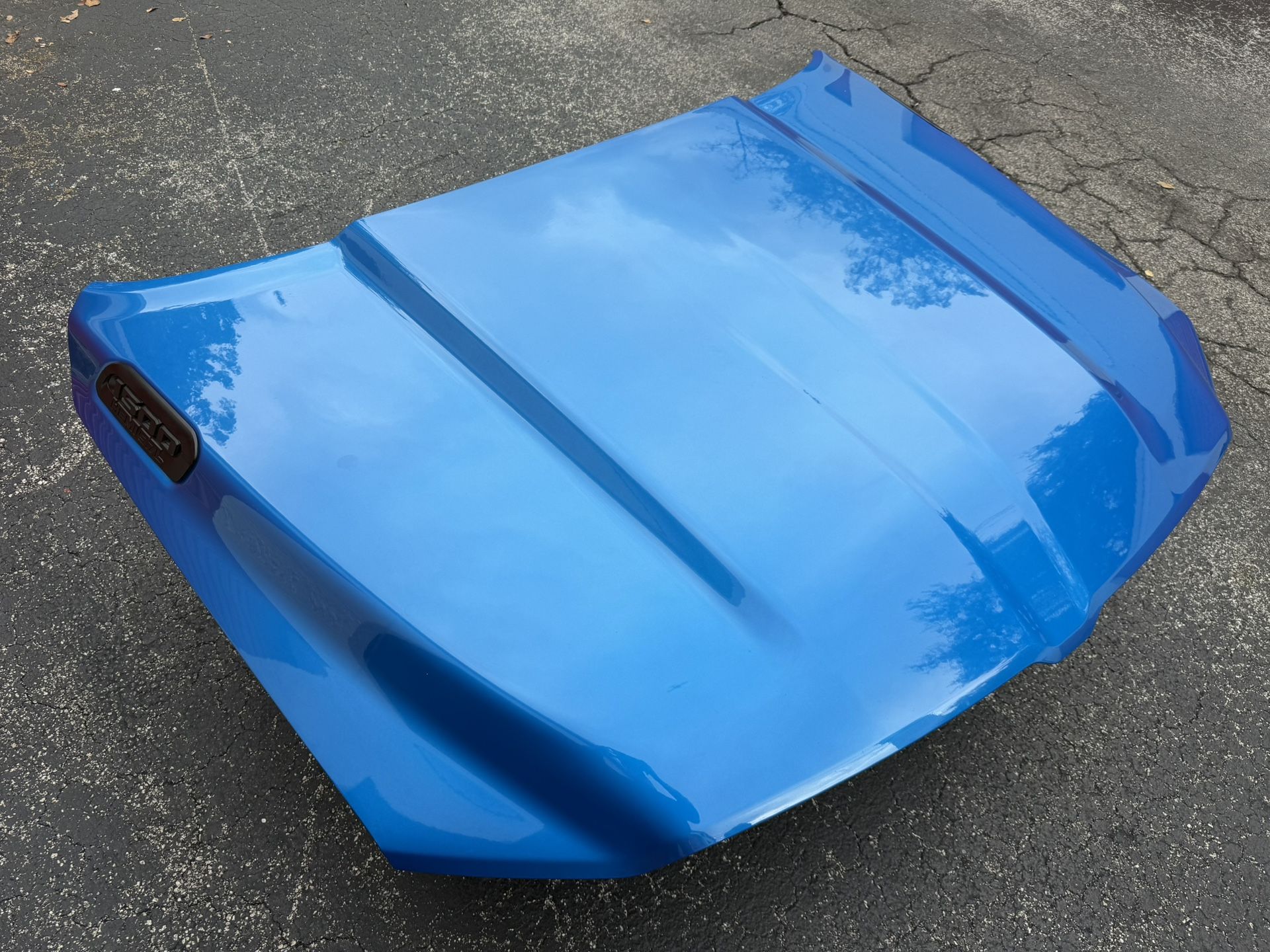 RAM 1(contact info removed) OEM HOOD PANEL