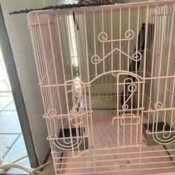 Birds Cages